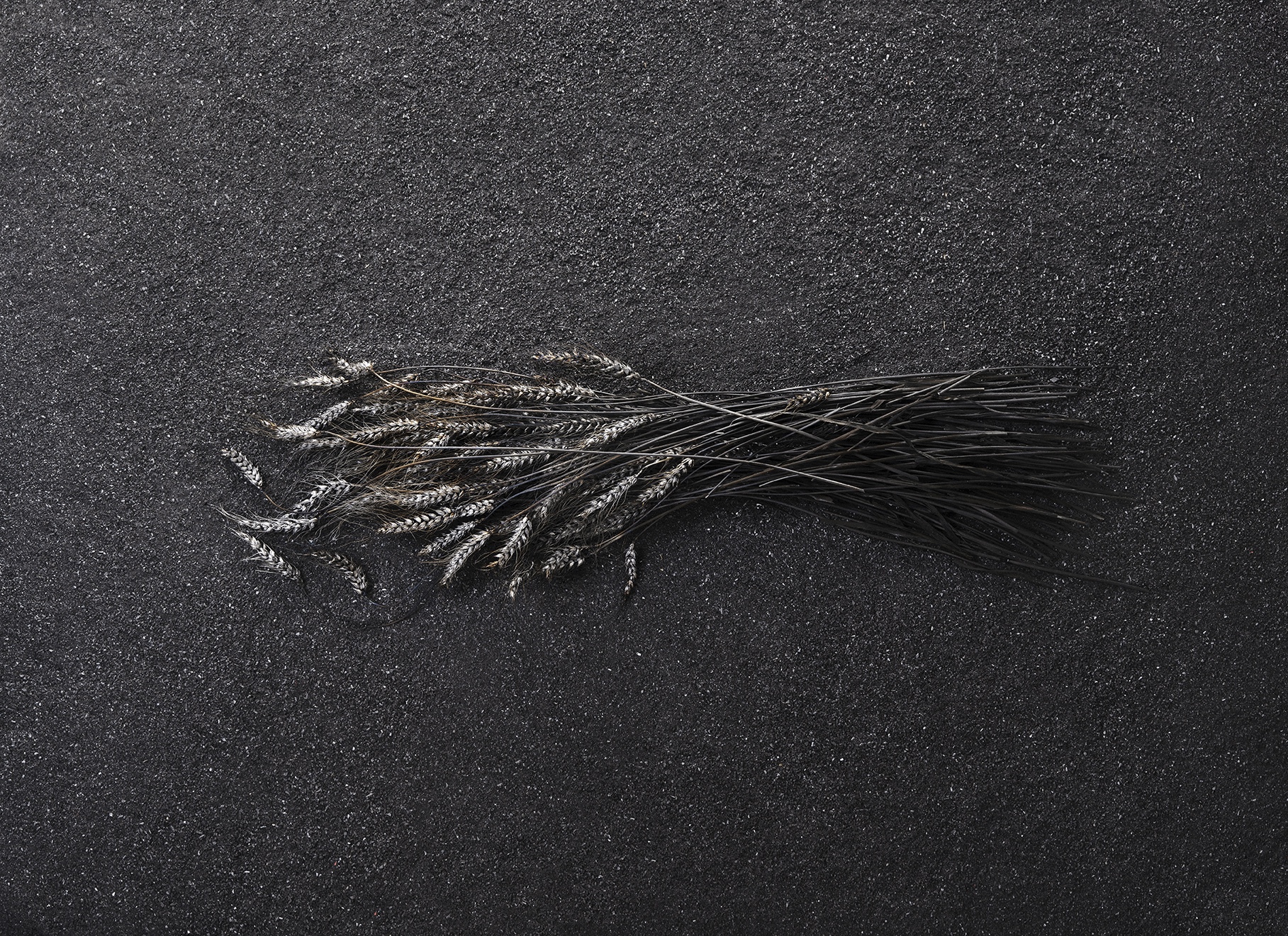 Installation de Sébastien Perroud / Culture Ailleurs
